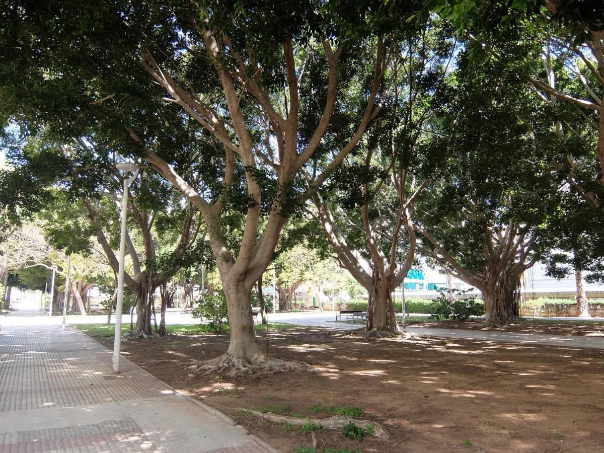 Cancun Playa De Gandia - Solo Alquiler Familias Εξωτερικό φωτογραφία